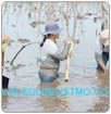 Se realiza proyecto de restauración de manglares en zona chontal baja
