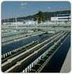Asegurado el abasto de agua en Edomex