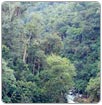 La Corte de Ecuador confirma la multa de 9.500 millones de dólares a Chevron por los vertidos en el Amazonas