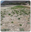 Lago de Chapala ha perdido mil millones de m3 de agua