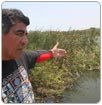 Lagunas de Altamira, en riesgo del colapso: experto