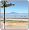 El lago de Chapala perdió 3,400 millones de m3 desde el 2010