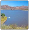 Chihuahua participará en foro de consulta sobre el agua