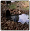 Tiene Laguna Ilusiones 32 descargas de aguas negras