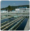 Detectan fuga de agua en el Cutzamala
