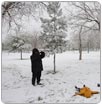 Lluvia y nieve benefician al campo coahuilense