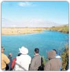 Cuatrociénegas, Coahuila: aprueban idea de ‘clonar’ pozas