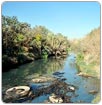 Contaminación del río, un asunto compartido