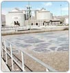 Tira Saltillo agua tratada