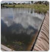 Agua de Valsequillo no recomendable para el riesgo de cultivos: Dagam - Icuap