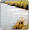 Enviarán cartas a México para exigir saldo de deuda de agua