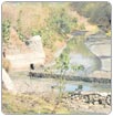 Hacen de Río Turbio un basurero tóxico