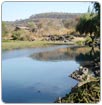 En riesgo, manantial que surte agua a la ciudad de morelia