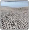 Se perdería producción por 7 mil 433 mdp por falta de agua