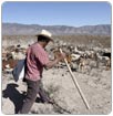 22 municipios de Coahuila solicitan ayuda ante estragos de la sequía