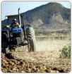 Se agudiza falta de agua para el campo