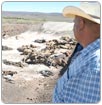 Severa falta de agua en 43 municipios