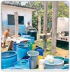Se duplicó consumo de agua en Coatzacoalcos por calor; han superado los 42 grados