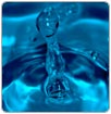 Presenta Colson base de datos “Agua potable en México”