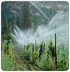 Chile: energía limpia beneficia a pequeños agricultores