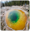 Mágico cambio de color en piscinas de Yellowstone es por la basura de turistas