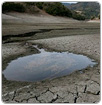 Agencia estatal de California no suministrará agua por sequía