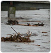 Las lluvias en el sur de Chile dejan miles de damnificados