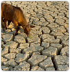 Sequía en Líbano la peor de 80 años amenaza con penuria de agua