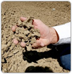California: sin agua en los campos