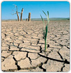 Centroamérica es la región del mundo más vulnerable al cambio climático