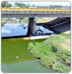 Fuentes contaminantes dañan a ríos de la entidad