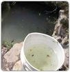 Contaminados, mantos acuíferos de la Huasteca