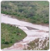 Afectados por derrame en río Sonora rechazan agua de pozos