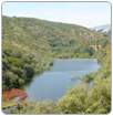 Se extingue presa de Pozuelos