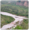 Concluye la emergencia por derrame tóxico en río de Sonora