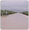 Se desbordó el río Pichucalco