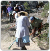 Mujeres de la Cuenca, salvan afluentes del Río Nazas