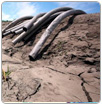 Guerra del agua: Acciona denuncia impagos de Agbar por 65 millones