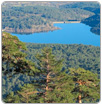 Agua forestal: Un necesario e innovador enfoque para el mundo forestal mediterráneo
