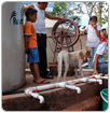 Persiste rezago en la calidad del agua