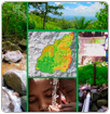 Proyecto ecológico hondureño compite por premio internacional