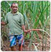 Ante la sequía, los campesinos brasileños fabrican su propia agua