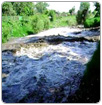 Conagua usar agua del río Cuautla para termoeléctrica