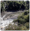 Alertan problema ambiental en río Atoyac