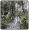 Xochimilco, una joya cultural convertida en canales de drenaje