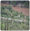 Buscan evadir orden de juez para evaluar agua de Río Sonora