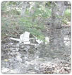 Autoridades en Texmelucan no hacen nada por descontaminar nacimientos de agua