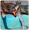 Ingeniería para cuidar el agua