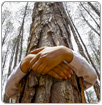 Día Mundial del Medio Ambiente: conectar a las personas con la naturaleza