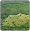 El Amazonas, amenazado por un círculo vicioso de sequía y deforestación